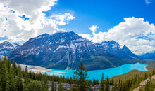 Load image into Gallery viewer, Peyto - Panorama
