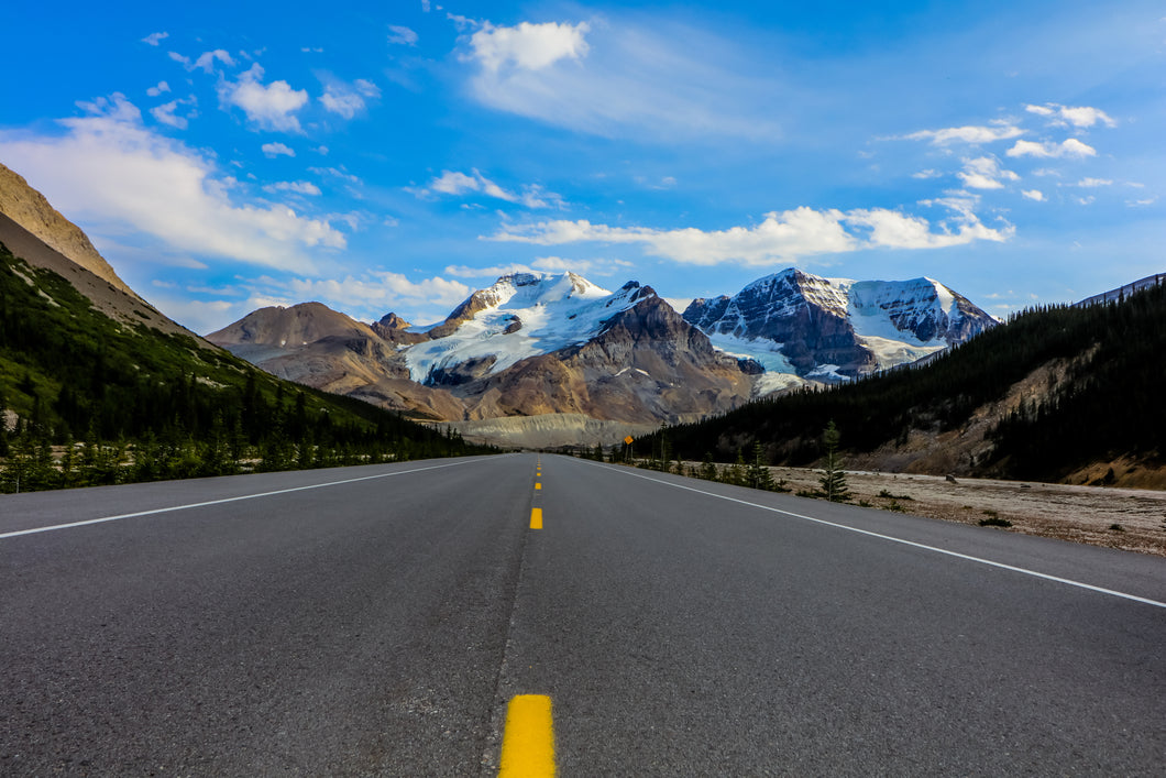Columbia Ice fields