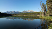Load image into Gallery viewer, Herbert Lake-3
