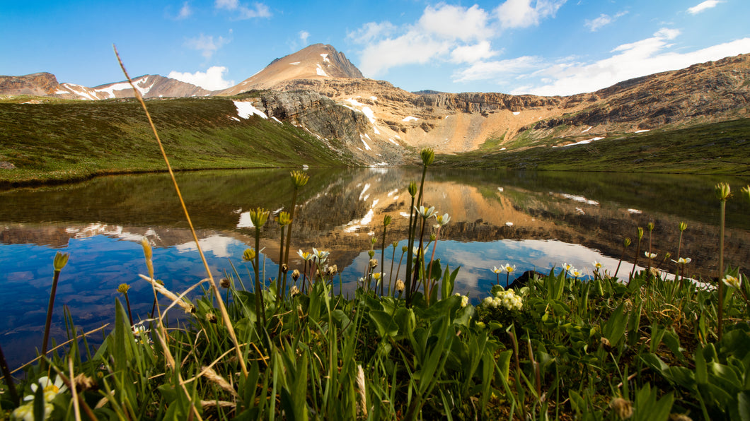 Helen Lake