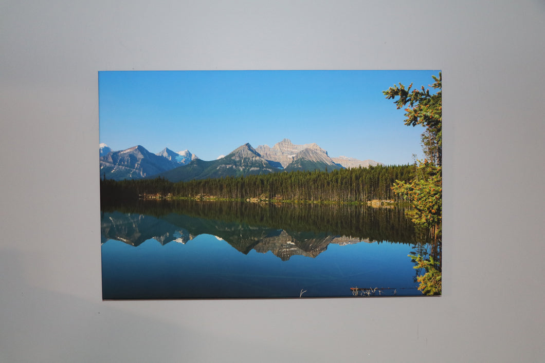 Herbert lake.