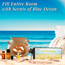 Load image into Gallery viewer, HIQILI Fragrance Oils Set-Gold Coast Theme | TOP 6 Gift Set Use for Aromatherapy,Diffuser,Humidifier,Candles | Car,Home,hotel
