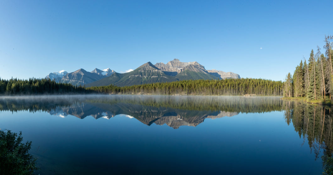Reflection of Early Morning Mist