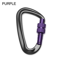 Load image into Gallery viewer, 12/23/24/25KN Professional D Shape Safety Carabiner Aluminum Key Hooks Climbing Security Master Lock Outdoor Hiking Tool
